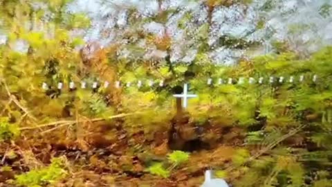 Ukraine war combat footage 7/29/25