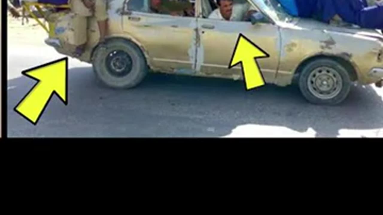 Funny videos