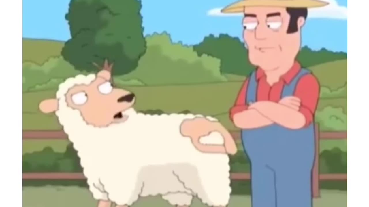 Naughty Sheep