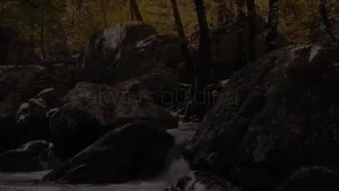 🙏✨ Friday's Prayer | A Heartfelt Blessing | InGodWeTrustDaily