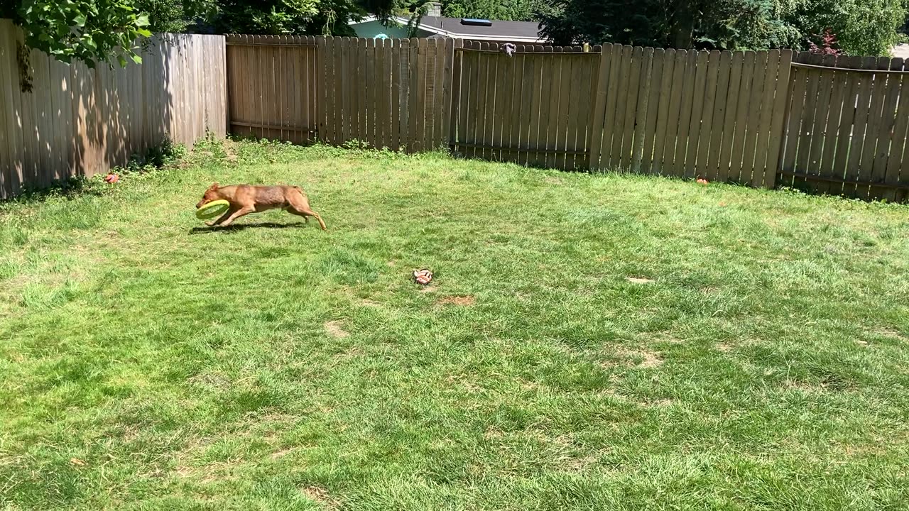 backyard hangout 23908430298432098