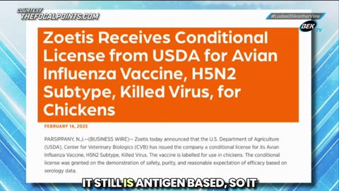 Bird Flu Vaccine Ready for Rollout as USDA Plans Dangerous Mass Chicken Vaccination Campaign