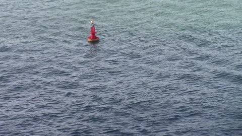 Buoy Bobbing in Ocean, Wave Breaker in Waves, Creative Commons Stock Video