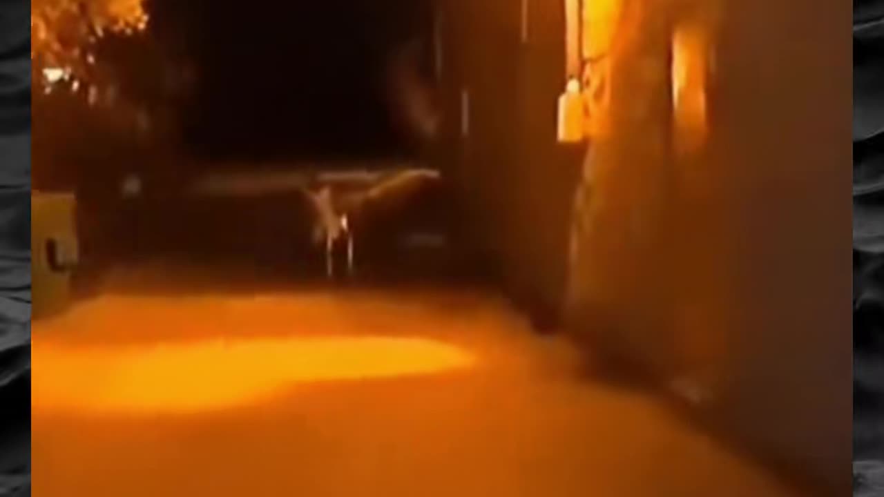 😱👻 The Scariest Paranormal Encounters! Part 55 | TheHauntingHour