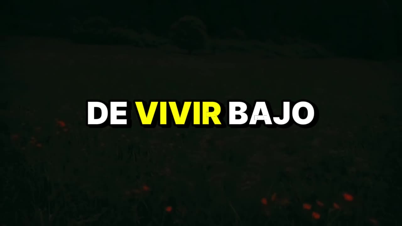 Cuando aprendí a elegirme a mí mismo | Reflexión de vida y superación personal