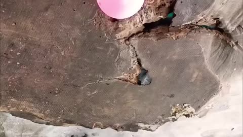 Making of Wooden Weapons