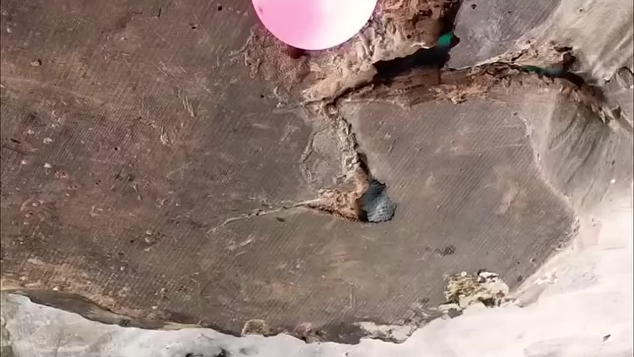 Making of Wooden Weapons