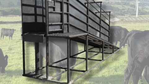 American-Made Loading Chute