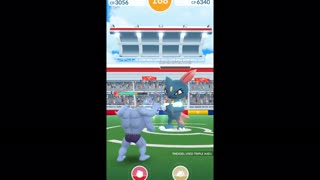 Pokémon GO 244-Sneasel Raid