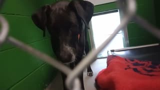 VID_20251121_161423724