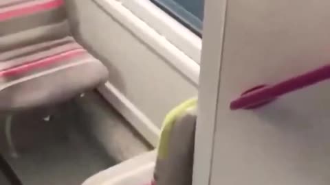 🚨 ARAB MIGRANT TRIES TO R*PE GIRL ON TRAIN IN FRANCE