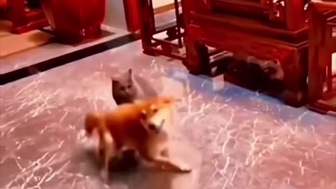 Wait for the End