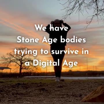 We have Stone Age bodies trying to survive in the Digital Age