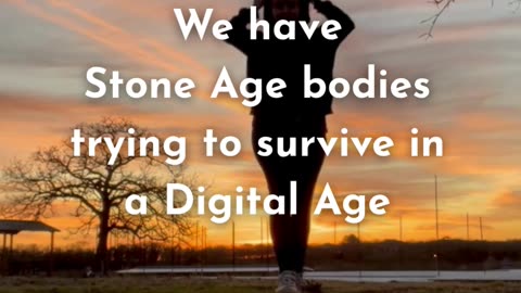 We have Stone Age bodies trying to survive in the Digital Age