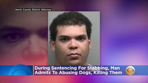 Texas Black Man Admits During Sentencing For Stabbing To Having Sex With Dogs And Killing Them