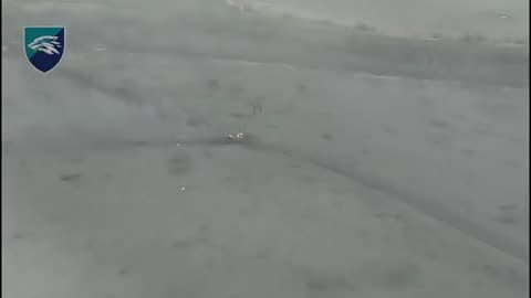 Ukrainian Marines Destroy Another Russian Tank