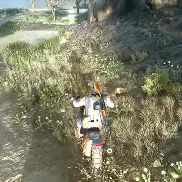 Days Gone - The Mayor Revolver (Survival II)