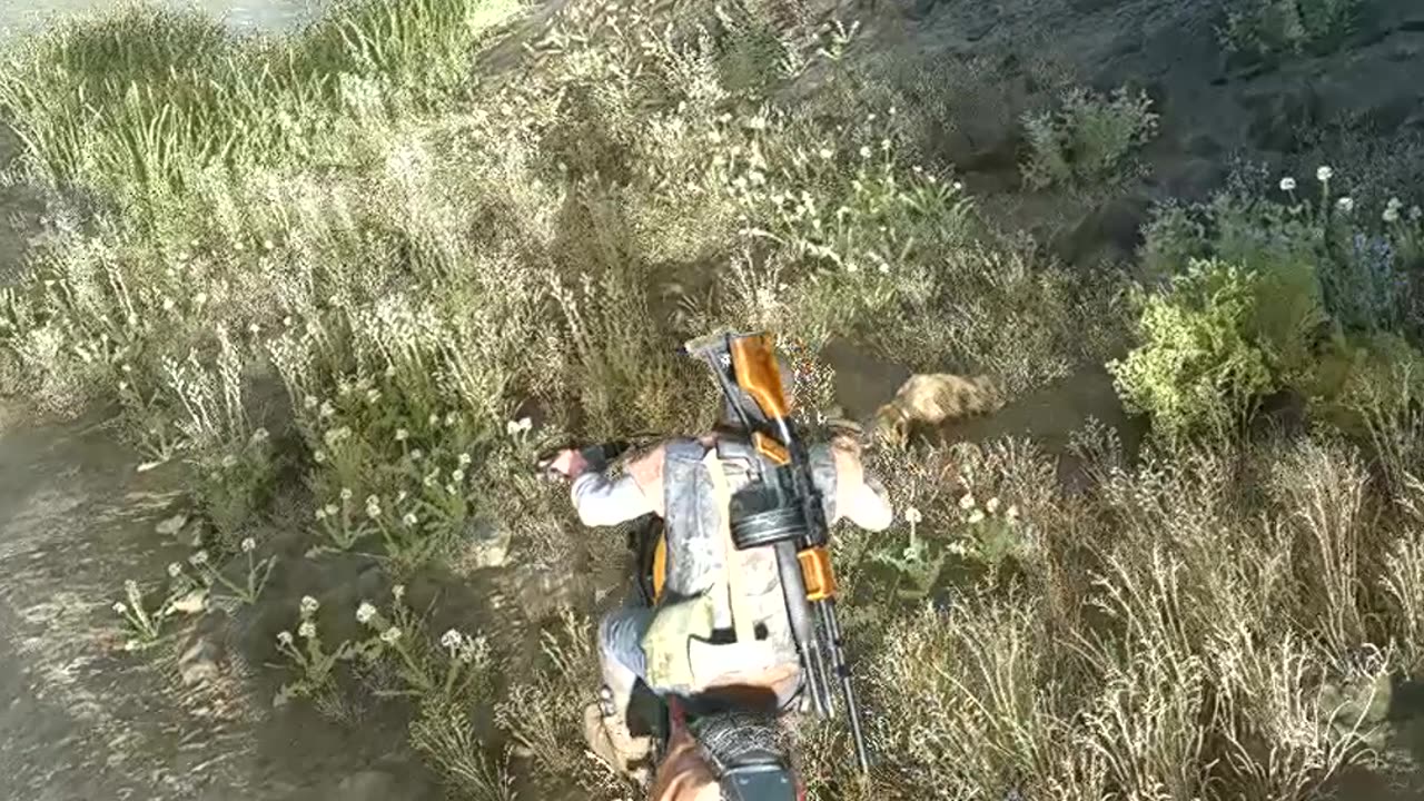 Days Gone - The Mayor Revolver (Survival II)