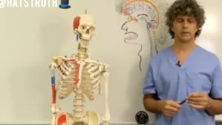 Gil Hedley PhD talks us through Pineal Gland activation.
