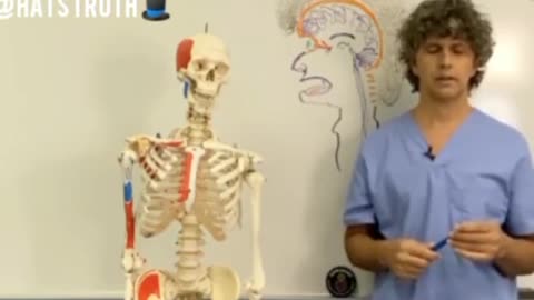 Gil Hedley PhD talks us through Pineal Gland activation.