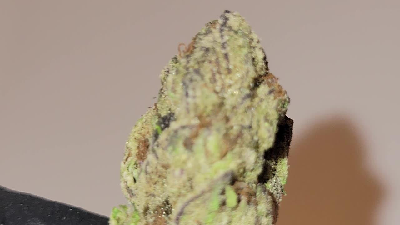 Obama Runtz THCA Flower