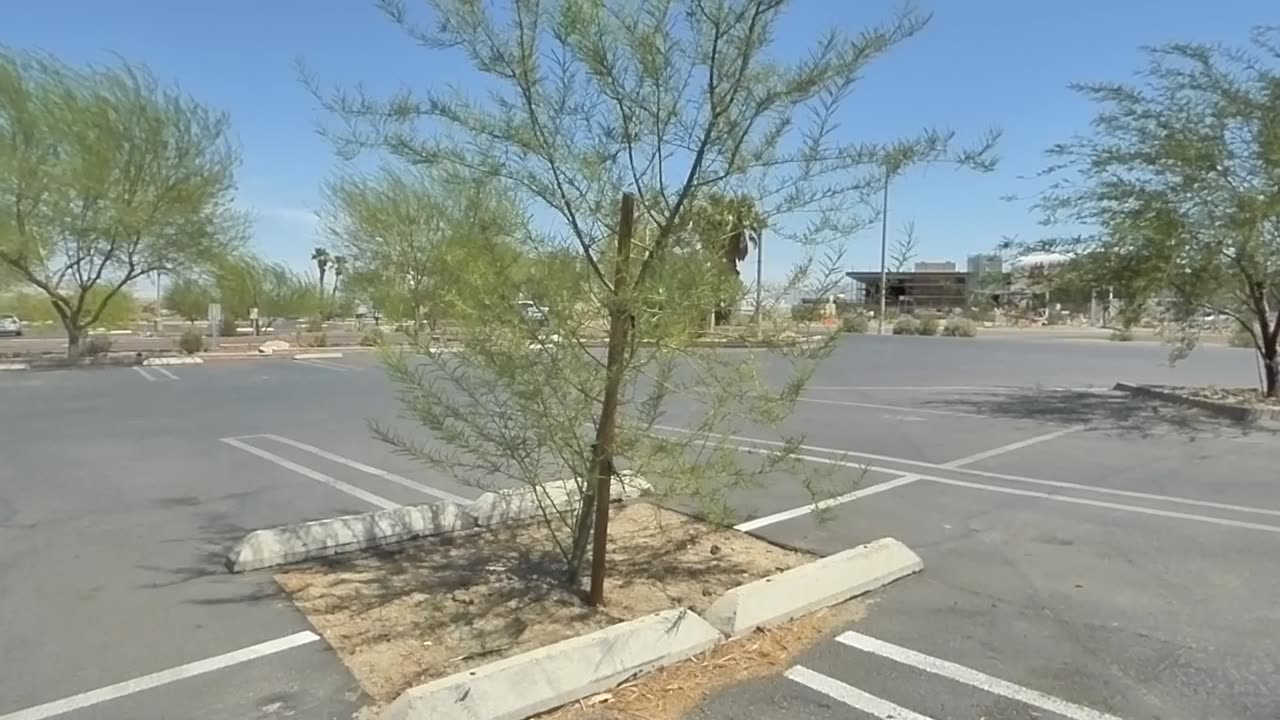 Walking around in the sun after going to the store