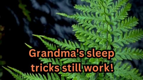 Insomnia Facts#SleepFix 😴 #BetterRest 💤 #NightHack 🌙 #DreamBig 🛌 #RelaxNow 🧘