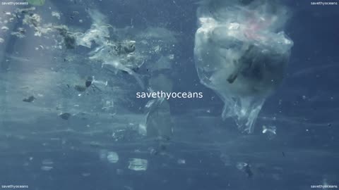 Pour La JournÃ©e Mondiale Des OcÃ©ans