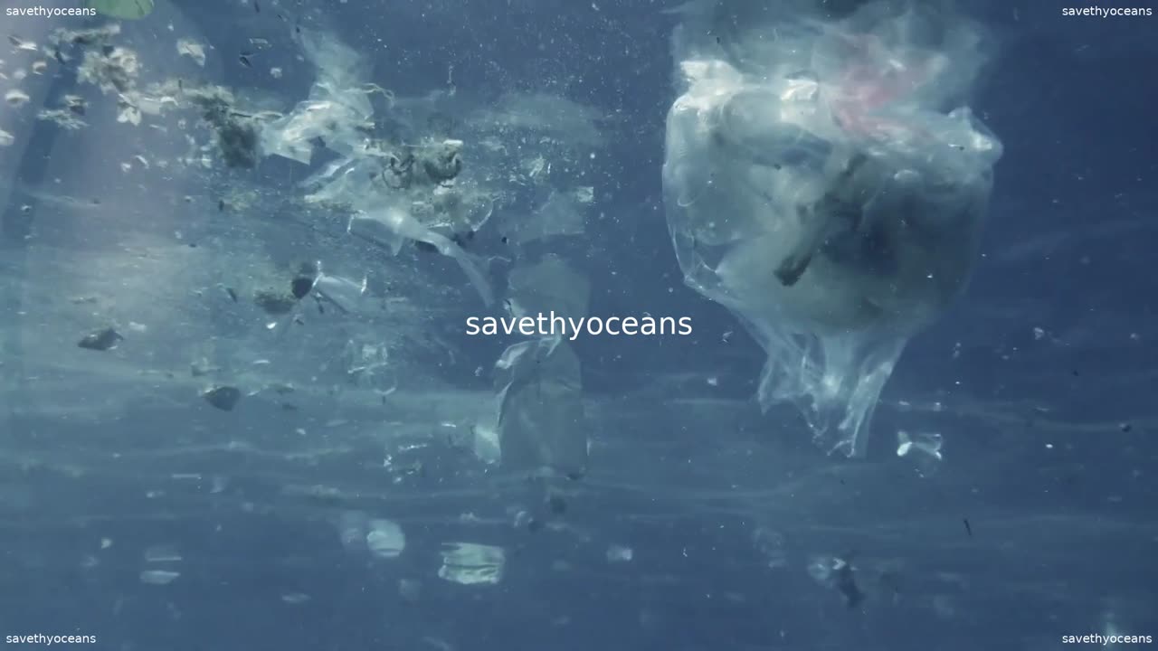 Pour La JournÃ©e Mondiale Des OcÃ©ans