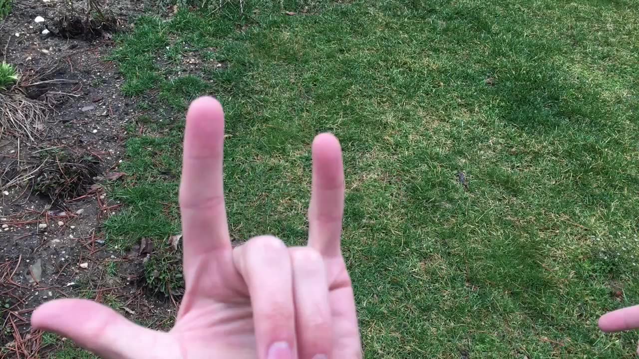 Begleri tutorial_ one & two finger roll transfers