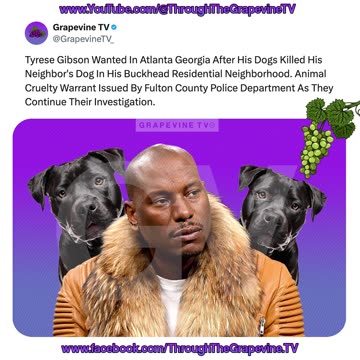 Tyrese Gibson Wanted In Atlanta Georgia After Dogs Kill Neighbor's Dog; Fulton County Issues Warrant