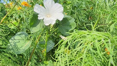 "The Prettiest Scene, Just have to Share it." "Scene 6"