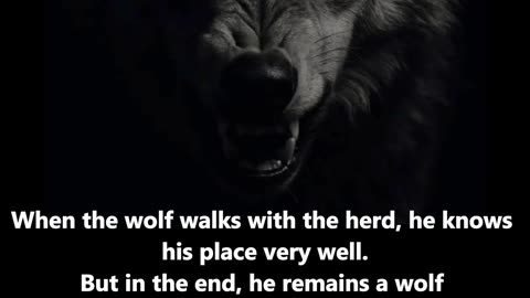 Our words here are not just words