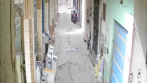 elsayed_Camera1_elsayed_20250202111059_20250202112012_204101426