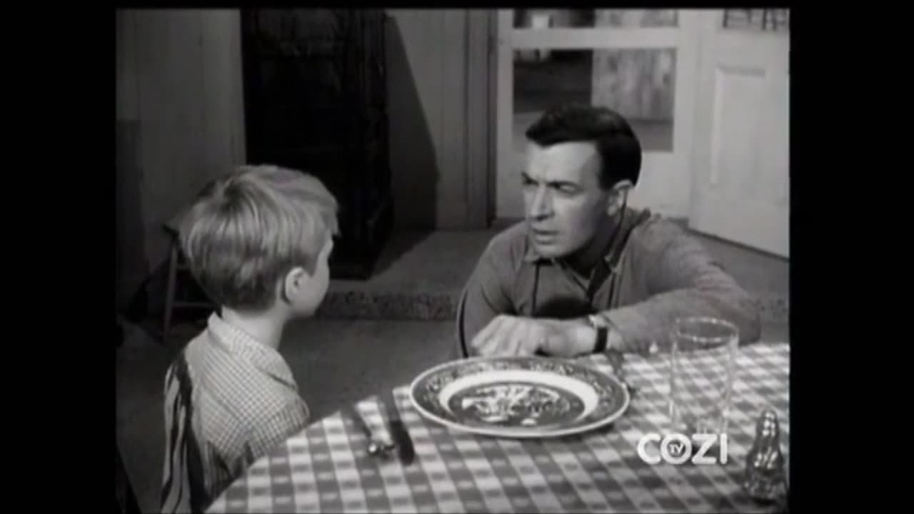 Lassie - Episode 182 - 'Lassie's Guest