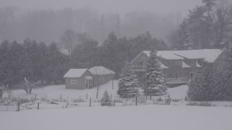 🎧 "Endless Snowstorm: Arctic Wind Sounds for Deep Sleep & Calm Focus ❄️🌬️"