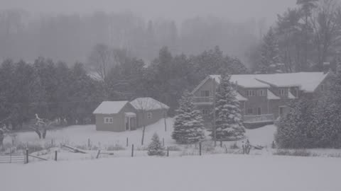 🎧 "Endless Snowstorm: Arctic Wind Sounds for Deep Sleep & Calm Focus ❄️🌬️"