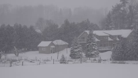 🎧 "Endless Snowstorm: Arctic Wind Sounds for Deep Sleep & Calm Focus ❄️🌬️"