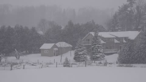 🎧 "Endless Snowstorm: Arctic Wind Sounds for Deep Sleep & Calm Focus ❄️🌬️"
