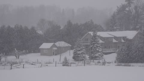 🎧 "Endless Snowstorm: Arctic Wind Sounds for Deep Sleep & Calm Focus ❄️🌬️"
