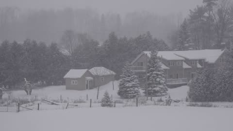 🎧 "Endless Snowstorm: Arctic Wind Sounds for Deep Sleep & Calm Focus ❄️🌬️"