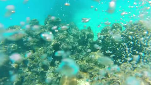 Creative Momentum Classical Mix