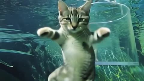 Ai video.