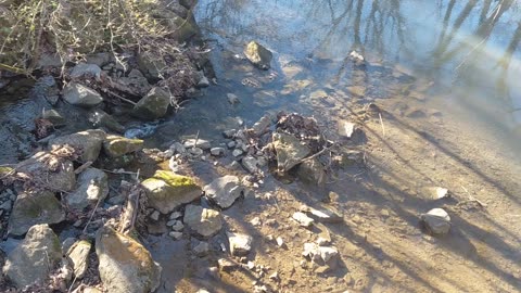 Mouse creek in December 2025