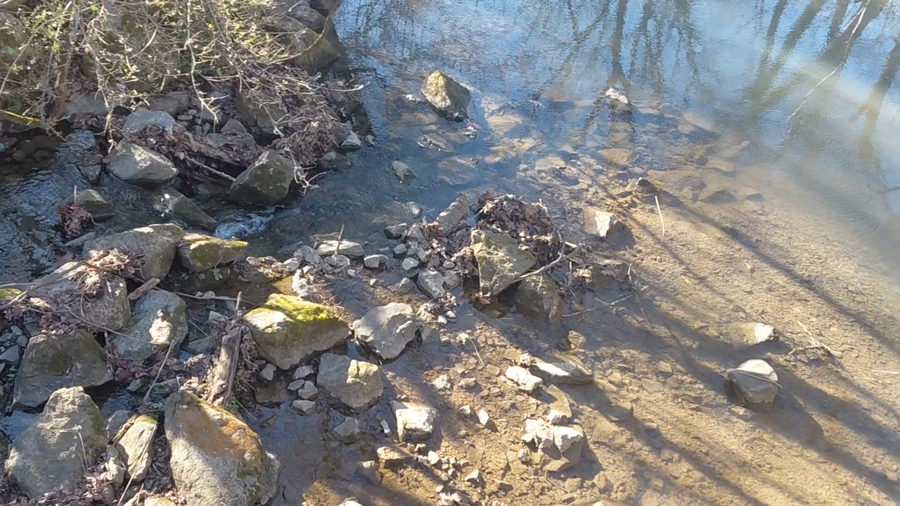 Mouse creek in December 2025