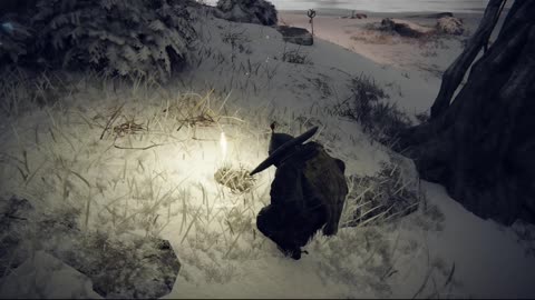 Elden Ring PC | Somberstone Miner's Bell Bearing [3] from Freezing Lake site of grace #eldenring