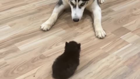 Too cute to handle! 💞