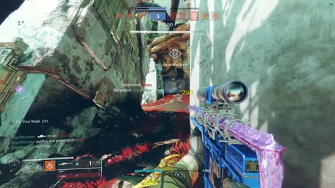 Destiny 2 i protect my teammate