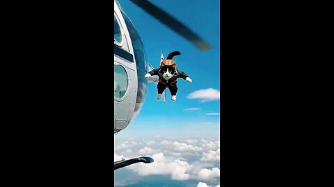 Amazing: AI Cat Goes Skydiving #cats #cat #aiart #skydiving