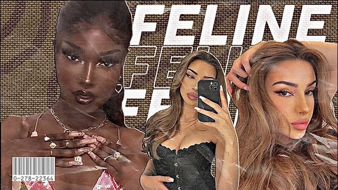 instant feline beauty.